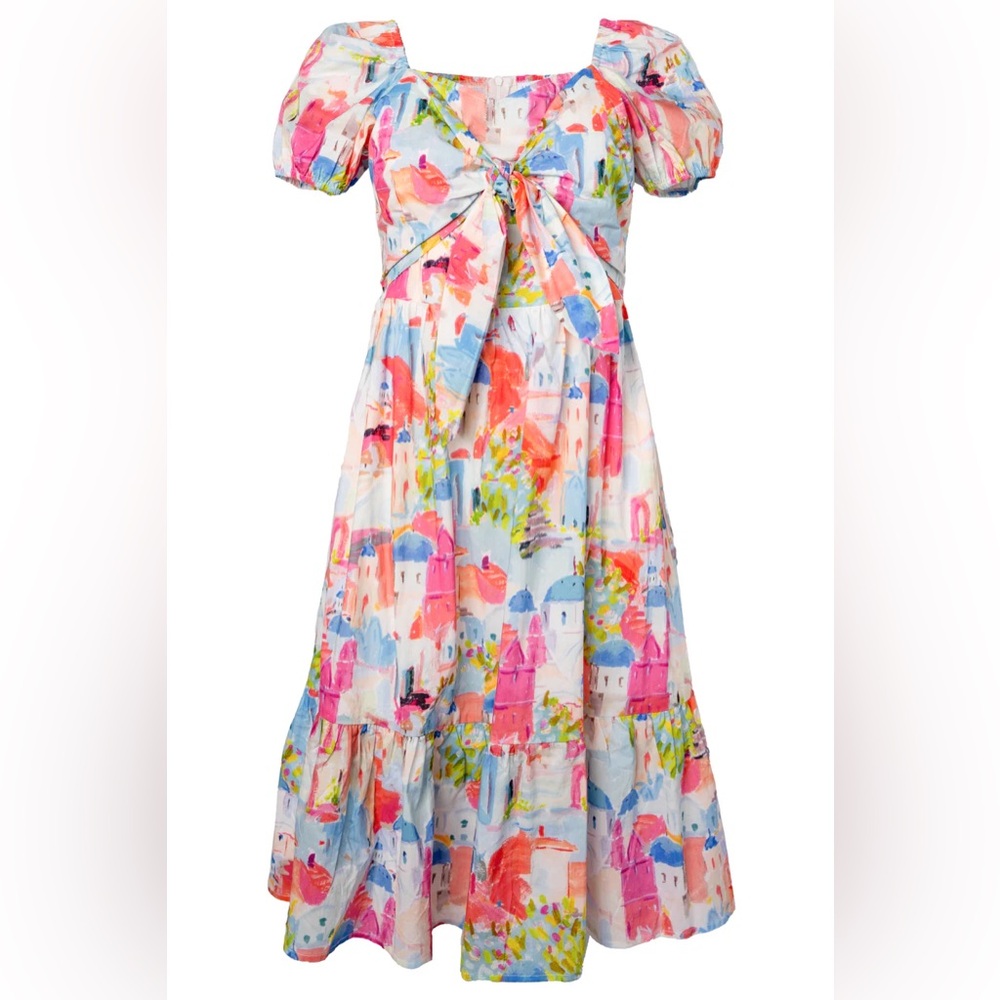 Ivy City Myko Midi Dress in Large NWT